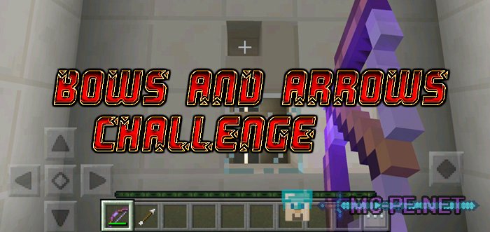 Bows and Arrows Challenge