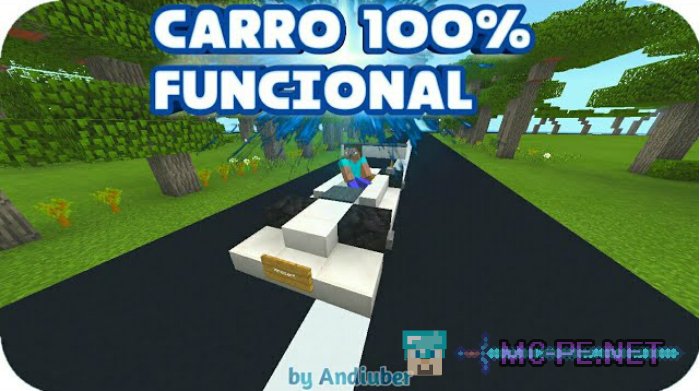 100% Functional CAR